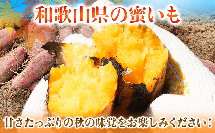 令和元年 和歌山県産 《新米 キヌヒカリ100% 玄米30kg》 - 食品