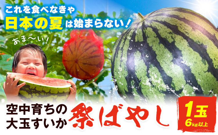 【2026年先行予約】贅沢な甘さとシャリ感 空中育ちの大玉すいか 祭ばやし 6kg以上 1玉 そうがわ農園 《2026年6月下旬-8月上旬頃出荷》 和歌山県 日高川町 スイカ 西瓜 すいか 大玉