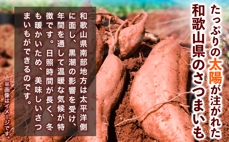 ãã€ãŸãã å³éž æ··åãµã€ãº 2kg åšæ¥çš® ã¿ã¯ããã¡ãŒã ã12æäžæ¬â5æäžæ¬é çºéãåæå±±ç æ¥é«å·çº ã¿ã¯ããã¡ãŒã ãã€ãŸè è©æ©è ãã è èãã ãµããã€ã¢ å°å®¹é ãã€ãŸè ã¹ã€ãŒãããã çŒãè