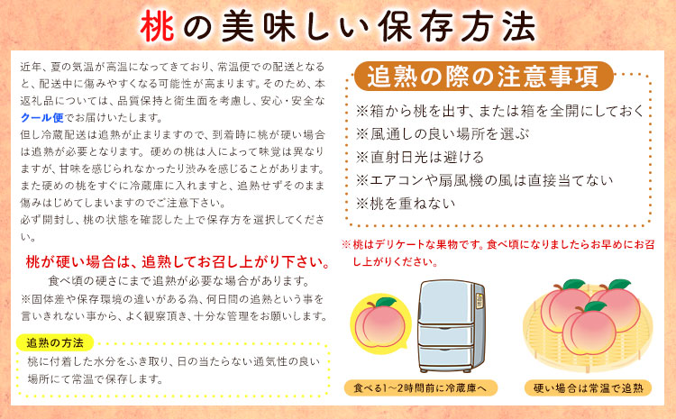 和歌山の桃 秀選品 約4kg(9〜15玉入り) 1箱 厳選館《2025年6月末-8月下旬出荷》和歌山県 日高川町 果物 フルーツ 桃 もも【配送不可地域あり】