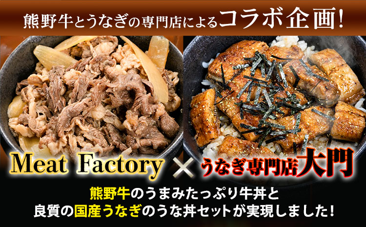 牛丼 熊野牛 国産うなぎ うな牛丼セットB 計12食 各6食 株式会社Meat Factory《30日以内に出荷予定(土日祝除く)》和歌山県 日高川町 牛肉 肉 牛丼 国産 うなぎ うな牛 送料無料