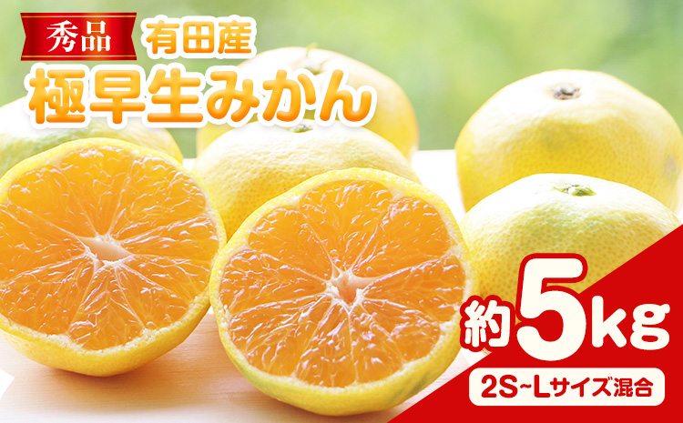 先行予約【秀品】有田産極 早生 みかん 約5kg (2S～Lサイズ混合) 厳選館《2025年10月上旬-12月中旬頃出荷》和歌山県 日高川町 早生みかん みかん 完熟 柑橘 蜜柑 ミカン フルーツ 果物