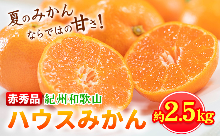 【先行予約】赤秀品 紀州和歌山 ハウス みかん 約2.5kg 株式会社魚鶴商店《2026年6月下旬頃～7月下旬頃出荷》和歌山県 日高川町 みかん ミカン 蜜柑 フルーツ 柑橘