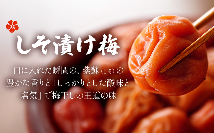 【数量限定！3～7営業日出荷】紀州南高梅 梅干し しそ漬け 1袋 ご家庭用 無選別 《3-7営業日以内に発送予定(土日祝日除く)》しそ梅 はちみつ梅 梅 うめ ウメ