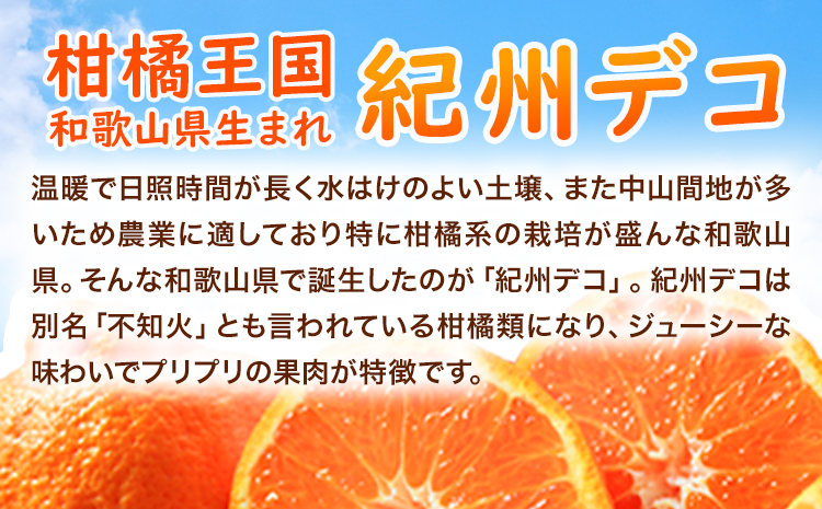 果肉プリプリ 完熟紀州デコ(不知火) 約5kg 果肉 デコ 魚鶴商店《2月下旬-3月末頃出荷》紀州デコ 和歌山県 日高川町 贈り物 ギフト 不知火 デコポン と同品種