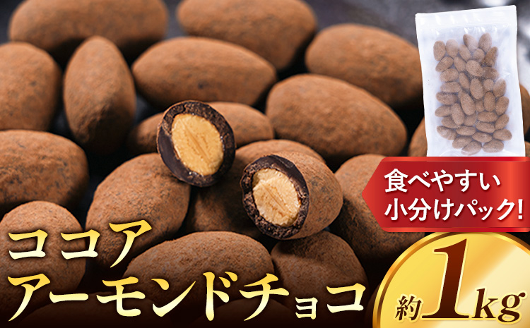 チョコ チョコレート ココア アーモンドチョコ 1kg《30日以内に出荷予定(土日祝除く)》和歌山県 日高川町 送料無料 スイーツ デザート お菓子 おやつ チョコ アーモンド アーモンドチョコ ココア(f-2)