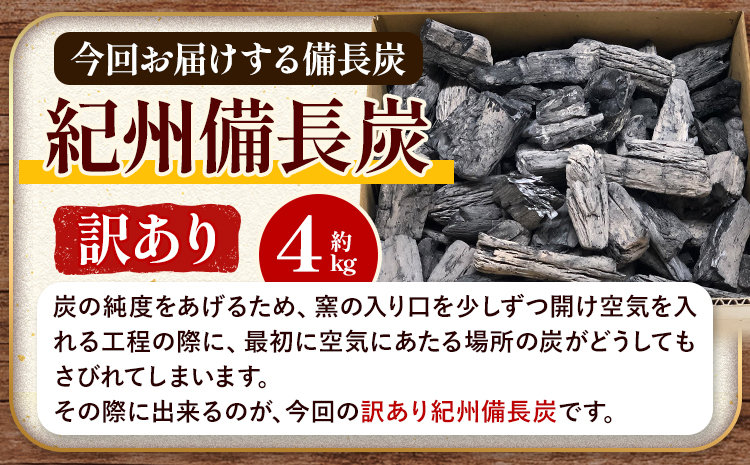 紀州備長炭 訳あり 約4kg 望商店 《30日以内に順次出荷(土日祝除く