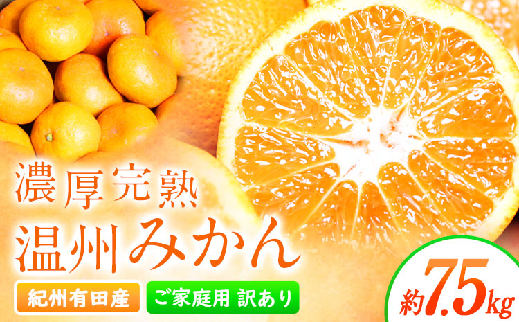 【先行予約】【ご家庭用訳アリ】 紀州有田産 濃厚完熟温州みかん 約7.5kg 魚鶴商店《2026年11月下旬-2027年1月下旬頃出荷》 和歌山県 日高川町 みかん 温州みかん 完熟 濃厚 柑橘 ご家庭用
