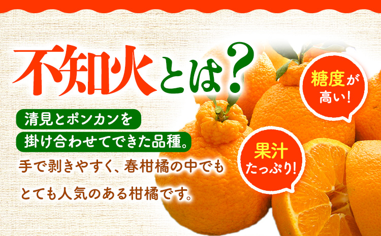 【先行受付】【訳あり】不知火 約10kg 長岡農園《2月中旬-4月上旬頃出荷》 和歌山県 日高川町 訳あり デコポン と同品種  柑橘 みかんしらぬい