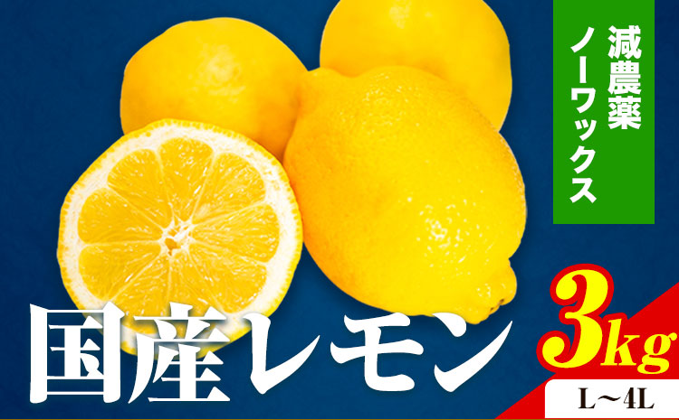 国産 レモン 約 3kg (L〜4Lサイズ)ノーワックス 減農薬 どの坂果樹園《2024年2月上旬-6月末頃出荷》 和歌山県 日高川町 レモン れもん 旬 柑橘 フルーツ 果物檸檬 果物 フルーツ 送料無料