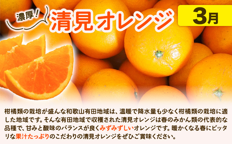 【発送月固定定期便】紀州 和歌山産 旬の ご家庭用 柑橘 セット (みかん 不知火 清見)【全３回】 計16kg 株式会社魚鶴《2027年1月上旬-4月上旬頃出荷》 和歌山県 日高川町 オレンジ 柑橘 蜜柑 果物 訳あり 送料無料 定期便