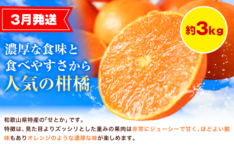 ã宿ãçŽå·åæå±±ç£ æ¬ã®ãã«ãŒãã»ãã(ããšã æ¡ å¯ææ¿) çŽ6.5kg æ ªåŒäŒç€Ÿéé¶Žååºã3æäžæ¬-12æäžæ¬é åºè·ãåæå±±ç æ¥é«å·çº æ¿ å¯ææ¿ ããšã æ¡ ãã ãã«ãŒã
