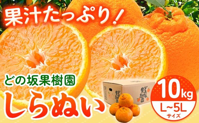 不知火 ( デコポン と同品種 ) しらぬい 約 10kg (L〜5Lサイズ) どの坂果樹園《2027年2月中旬-5月上旬頃出荷》 和歌山県 日高川町 しらぬい 不知火 デコポン でこぽん 旬 果物 フルーツ 柑橘 産地直送 送料無料