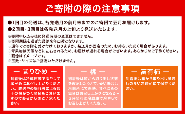 【先行予約】【発送月固定定期便】紀州和歌山産 旬のフルーツ便（いちご・桃・富有柿）【全３回】魚鶴商店《2027年2月上旬-11月末頃出荷》 和歌山県 日高川町 まりひめいちご 紀州和歌山産の桃 富有柿 化粧箱 贈答用 定期便