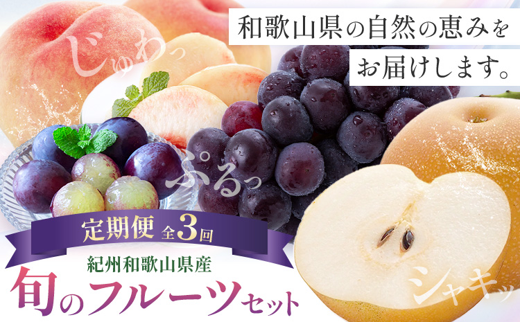 紀州 和歌山県産 旬の フルーツ セット 3ヶ月定期便 7月・8月・9月配送 桃 約1.8kg 梨 約2kg ピオーネ 約2kg 株式会社魚鶴商店《7月中旬-9月下旬頃出荷》和歌山県 日高川町 もも なし ぶどう 定期便 果物 旬