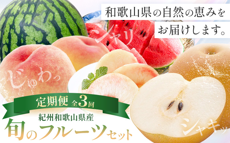 紀州 和歌山県産 旬の フルーツ セット 3ヶ月定期便 6月・7月・8月配送 小玉スイカ （ひとりじめ） 1玉 桃 約1.8kg 梨 約2kg 株式会社魚鶴商店《6月-8月頃出荷》和歌山県 日高川町 もも なし 定期便 果物 旬