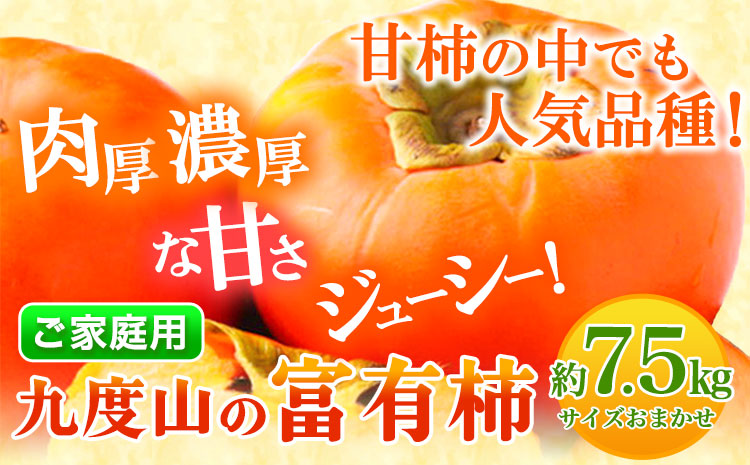 先行予約〈ご家庭用〉柿の名産地 九度山の 富有柿 約7.5kg 厳選館 《2025年11月上旬-12月下旬頃出荷》 和歌山県 日高川町 柿 カキ かき ジューシー フルーツ