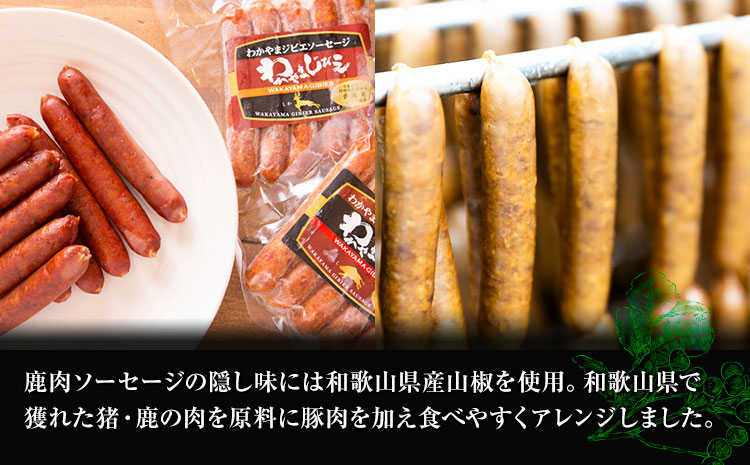 わかやま ジビエ ソーセージ 猪 鹿 10Pセット 1000g 株式会社Meat Factory《30日以内に出荷予定(土日祝除く)》和歌山県 日高川町 ソーセージ ジビエ料理 猪肉 鹿肉 10個 惣菜