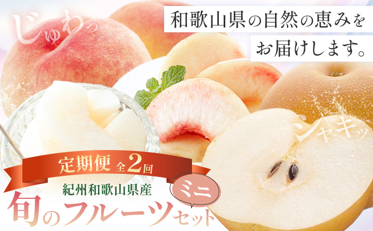 紀州 和歌山県産 旬の フルーツ セット ミニ 2ヶ月定期便 8月・9月配送 桃 3玉 梨 3玉 株式会社魚鶴商店《8月-9月頃出荷》和歌山県 日高川町 もも なし 定期便 果物 旬