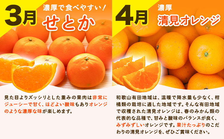 【先行予約】【発送月固定定期便】紀州 和歌山産 旬の ご家庭用 柑橘 セット (みかん 不知火 せとか 清見)【全4回】 計19kg 株式会社魚鶴《2027年1月上旬-5月上旬頃出荷》 和歌山県 日高川町 みかん 不知火 清見 オレンジ 柑橘 蜜柑 果物 訳あり 送料無料 定期便