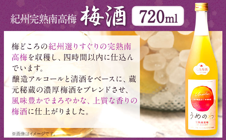 紀州完熟南高梅 ねりうめ酒 完熟梅酒 飲み比べセット 720ml×2本 厳選館 《90日以内に出荷予定(土日祝除く)》 和歌山県 日高川町 酒 さけ お酒 飲み比べ 梅酒 1440ml