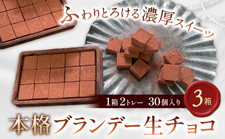 生チョコ 本格ブランデー生チョコ 3箱 1箱30個入り 株式会社たにぐち《2月上旬-2月中旬頃出荷》和歌山県 日高川町 スイーツ デザート チョコレート 生チョコレート お菓子 チョコ 送料無料 ブランデー