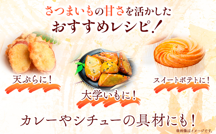 ãã€ãŸãã å³éž æ··åãµã€ãº 2kg åšæ¥çš® ã¿ã¯ããã¡ãŒã ã12æäžæ¬â5æäžæ¬é çºéãåæå±±ç æ¥é«å·çº ã¿ã¯ããã¡ãŒã ãã€ãŸè è©æ©è ãã è èãã ãµããã€ã¢ å°å®¹é ãã€ãŸè ã¹ã€ãŒãããã çŒãè