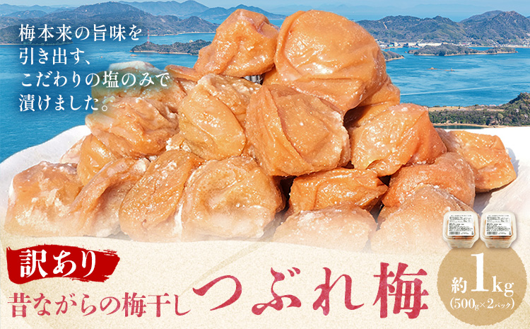 昔ながらの梅干し 訳あり つぶれ梅 計1kg 500g 2パック 農業法人 株式会社紀州梅香《30日以内に出荷予定(土日祝除く)》 和歌山県 日高川町 梅 うめ フルーツ 果物