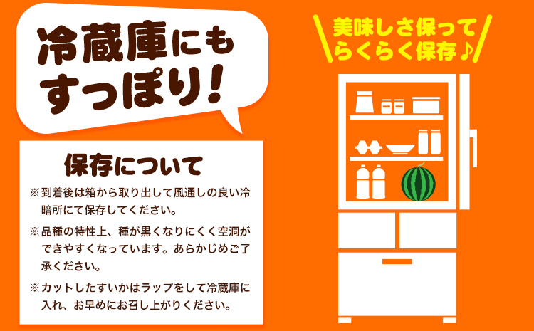 紀州和歌山産 小玉スイカ 「ひとりじめ」 1玉 魚鶴商店《2026年6月上旬-7月上旬頃出荷》 和歌山県 日高川町 スイカ スイーツ フルーツ
