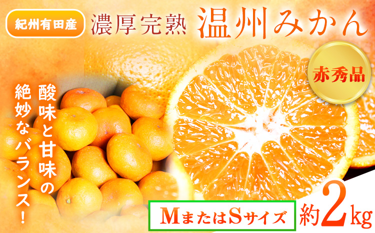 【先行予約】赤秀品 紀州有田産 濃厚完熟温州みかん 2kg (MサイズまたはSサイズ) 魚鶴商店《2026年11月下旬-2027年1月下旬頃出荷》和歌山県 日高川町 みかん ミカン 蜜柑 フルーツ 柑橘
