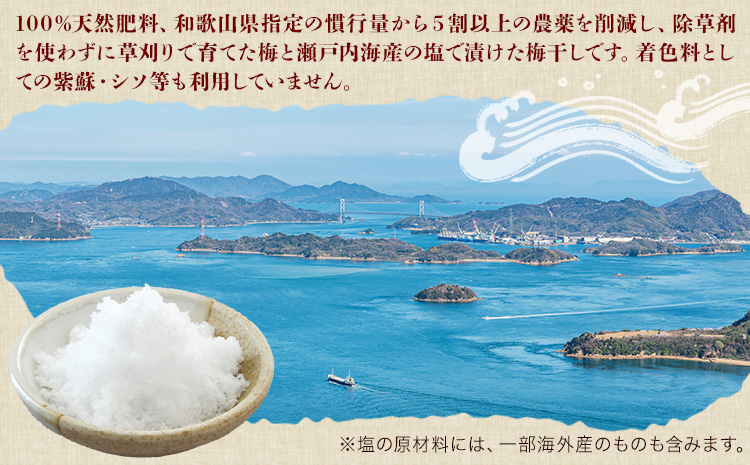 昔ながらの梅干し 訳あり つぶれ梅 計1kg 500g 2パック 農業法人 株式会社紀州梅香《30日以内に出荷予定(土日祝除く)》 和歌山県 日高川町 梅 うめ フルーツ 果物