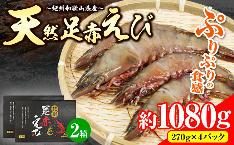 紀州和歌山産天然足赤えび 540g×2箱(270g×4パック) 化粧箱入 魚鶴商店《11月上旬-2月上旬頃出荷》和歌山県 日高川町 足赤えび えび エビ