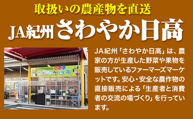 令和6年産 粒より米 きぬひかり 5kg JA紀州 さわやか日高《90日以内に出荷予定(土日祝除く)》 和歌山県 日高川町 米 こめ コメ きぬひかり キヌヒカリ 送料無料 精米