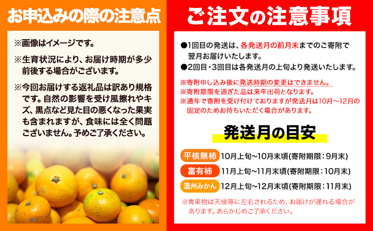 【発送月固定定期便】フルーツセット ご家庭用 訳あり果物セット (平核無柿 富有柿 みかん)【全３回】 魚鶴商店《10月上旬-12月上旬出荷予定(土日祝除く)》 和歌山県 日高川町 平核無柿 富有柿 柿 みかん 柑橘 蜜柑 果物 フルーツ 送料無料 定期便