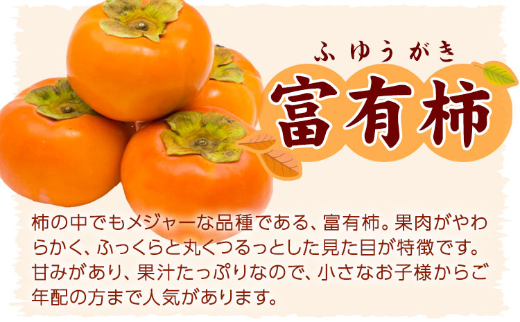 先行予約〈ご家庭用〉柿の名産地 九度山の 富有柿 約7.5kg 厳選館 《2025年11月上旬-12月下旬頃出荷》 和歌山県 日高川町 柿 カキ かき ジューシー フルーツ