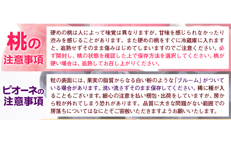 和歌山県の旬の果実を奇数月にお届け 全6回定期便 厳選館《1月上旬-11月末頃出荷》和歌山県 日高町 果物 フルーツ キウイ キウイフルーツ 清見オレンジ オレンジ アイコトマト トマト 桃 ニューピオーネ 富有柿 柿 送料無料【配送不可地域あり】