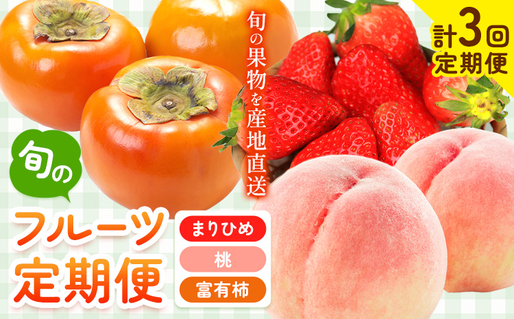 【先行予約】【発送月固定定期便】紀州和歌山産 旬のフルーツ便（いちご・桃・富有柿）【全３回】魚鶴商店《2027年2月上旬-11月末頃出荷》 和歌山県 日高川町 まりひめいちご 紀州和歌山産の桃 富有柿 化粧箱 贈答用 定期便