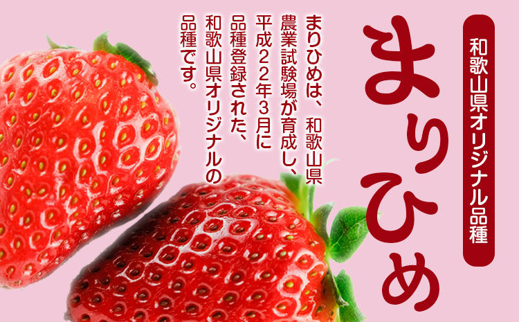 まりひめ いちご 約300g×2パック たつた農園《1月中旬-3月中旬頃出荷》和歌山県 日高川町 送料無料 苺 鞠姫 マリヒメ フルーツ 果物 お取り寄せイチゴ【配送不可地域あり】