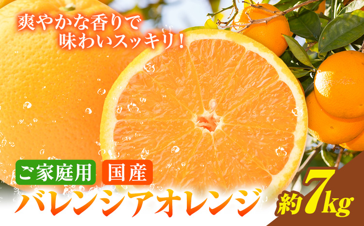 【ご家庭用訳あり】※先行予約※希少な国産バレンシアオレンジ 約7kg 株式会社魚鶴商店《2026年6月下旬-7月上旬出荷》和歌山県 日高川町
