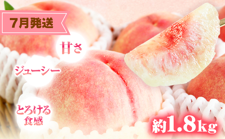 ã宿ãçŽå·åæå±±ç£ æ¬ã®ãã«ãŒãã»ãã(ããšã æ¡ å¯ææ¿) çŽ6.5kg æ ªåŒäŒç€Ÿéé¶Žååºã3æäžæ¬-12æäžæ¬é åºè·ãåæå±±ç æ¥é«å·çº æ¿ å¯ææ¿ ããšã æ¡ ãã ãã«ãŒã