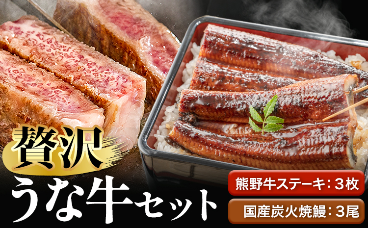 ステーキ 鰻 熊野牛 国産うなぎ 熊野牛ステーキと国産炭火焼鰻の贅沢うな牛セットＢ 計6食 株式会社Meat Factory《30日以内に出荷予定(土日祝除く)》和歌山県 日高川町 ロースステーキ 牛肉 肉 国産 うなぎ 送料無料