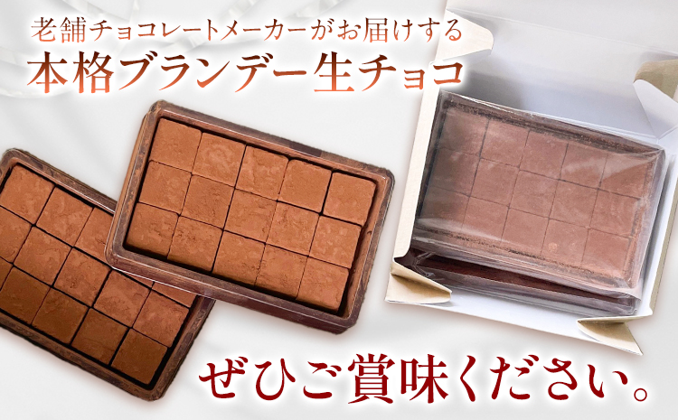 生チョコ 本格ブランデー生チョコ 3箱 1箱30個入り 株式会社たにぐち《2月上旬-2月中旬頃出荷》和歌山県 日高川町 スイーツ デザート チョコレート 生チョコレート お菓子 チョコ 送料無料 ブランデー