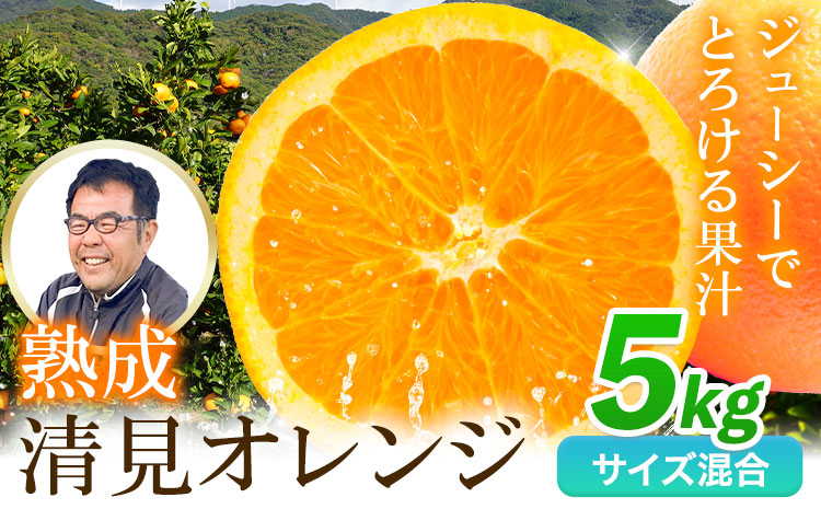 熟成清見オレンジ 5kg どの坂果樹園《3月上旬-5月中旬頃出荷》 和歌山県 日高川町 清見オレンジ 旬 柑橘 フルーツ 果物 オレンジ 熟成st-p