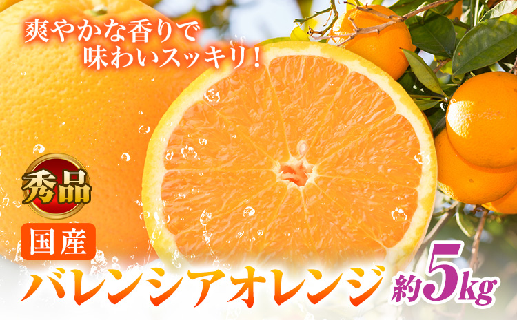 【秀品】※先行予約※希少な国産バレンシアオレンジ 約5kg 株式会社 魚鶴商店《2026年6月下旬頃～7月上旬頃出荷》和歌山県 日高川町 オレンジ 柑橘 フルーツ 果物