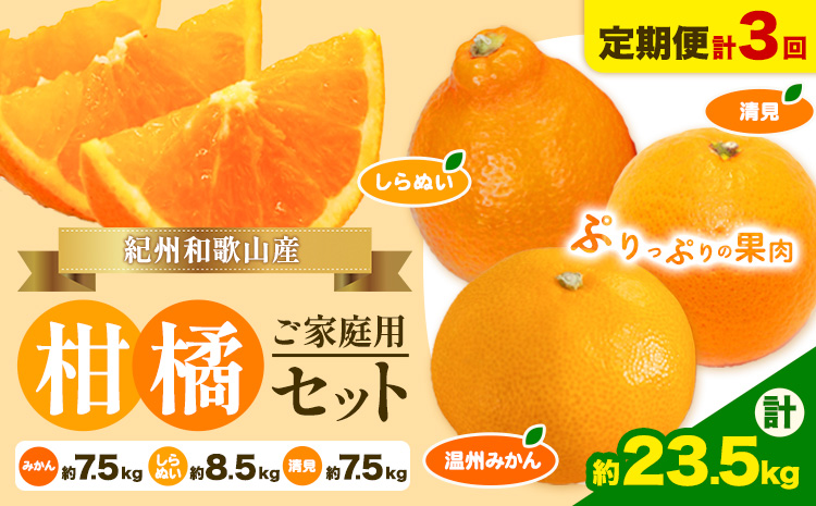 【発送月固定定期便】紀州 和歌山産 旬の ご家庭用 柑橘 セット (みかん 不知火 清見)【全３回】 計約23.5kg 株式会社魚鶴《2027年1月上旬-4月上旬頃出荷》 和歌山県 日高川町 オレンジ 柑橘 蜜柑 果物 訳あり 送料無料 定期便