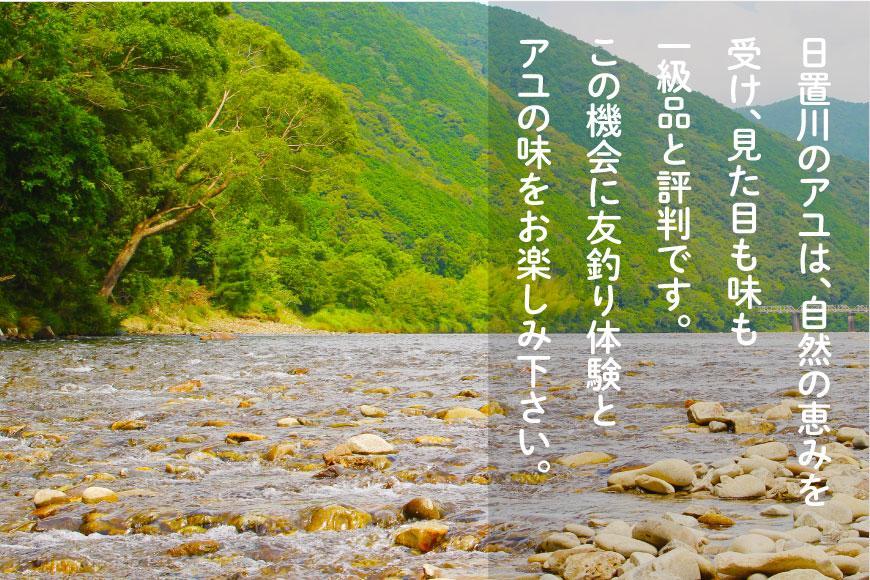 2025年度 日置川アユ遊漁券（一年券）