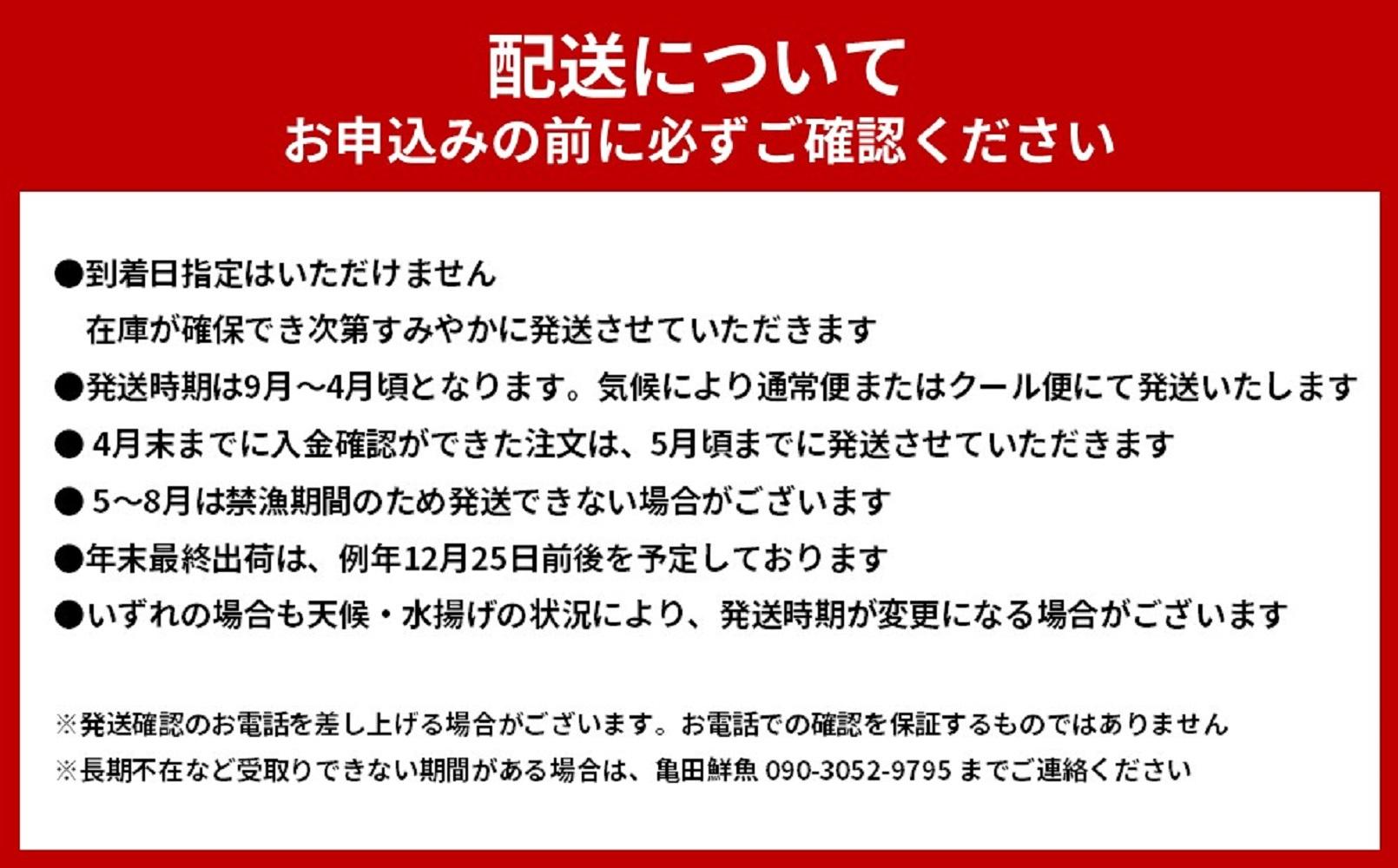 活 伊勢海老 5尾 〜 10尾 セット 合計 約4kg 産地直送