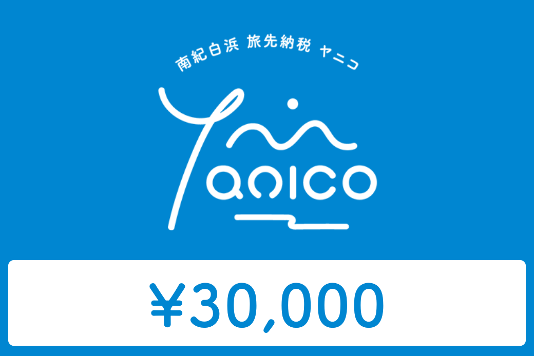 【JALの旅先納税】 電子商品券 南紀白浜 Yanico（ヤニコ）30,000円分