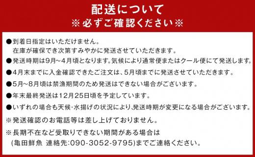 冷凍 伊勢海老 お鍋用 約1.2kg 産地直送