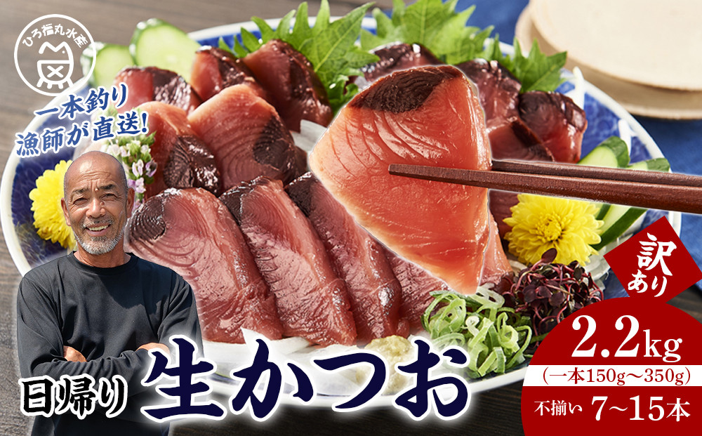 かつお一本釣り漁師が直送！ 日帰り生かつお 訳あり 2.2kg入